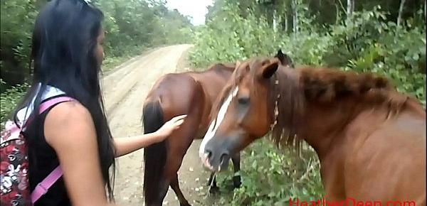 Sex girls with horse in Guayaquil